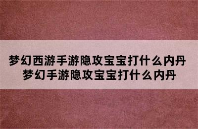 梦幻西游手游隐攻宝宝打什么内丹 梦幻手游隐攻宝宝打什么内丹